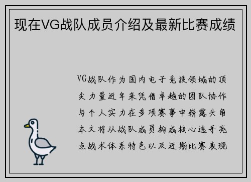 现在VG战队成员介绍及最新比赛成绩